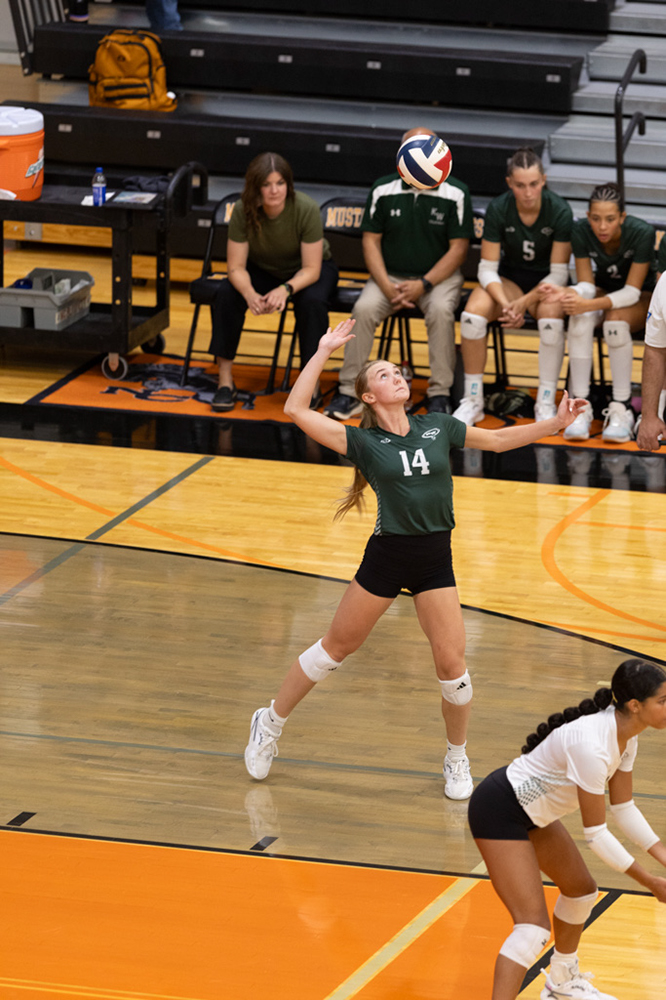 %_tempFileName1M6A7350%