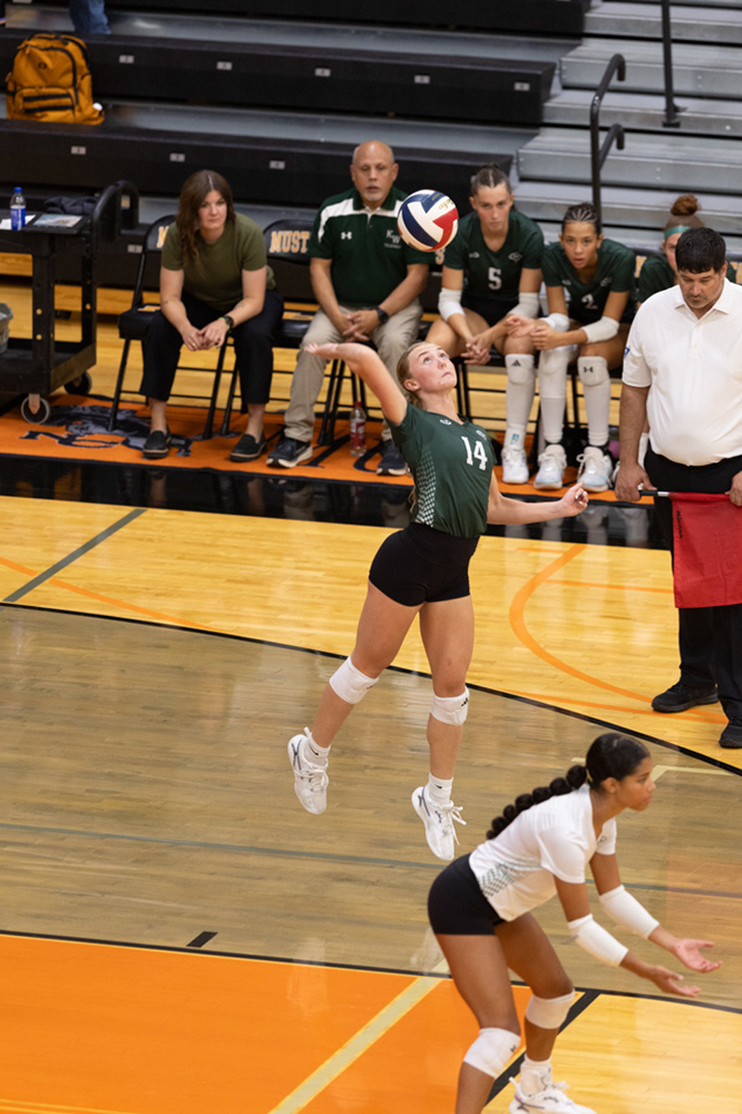 %_tempFileName1M6A7352%