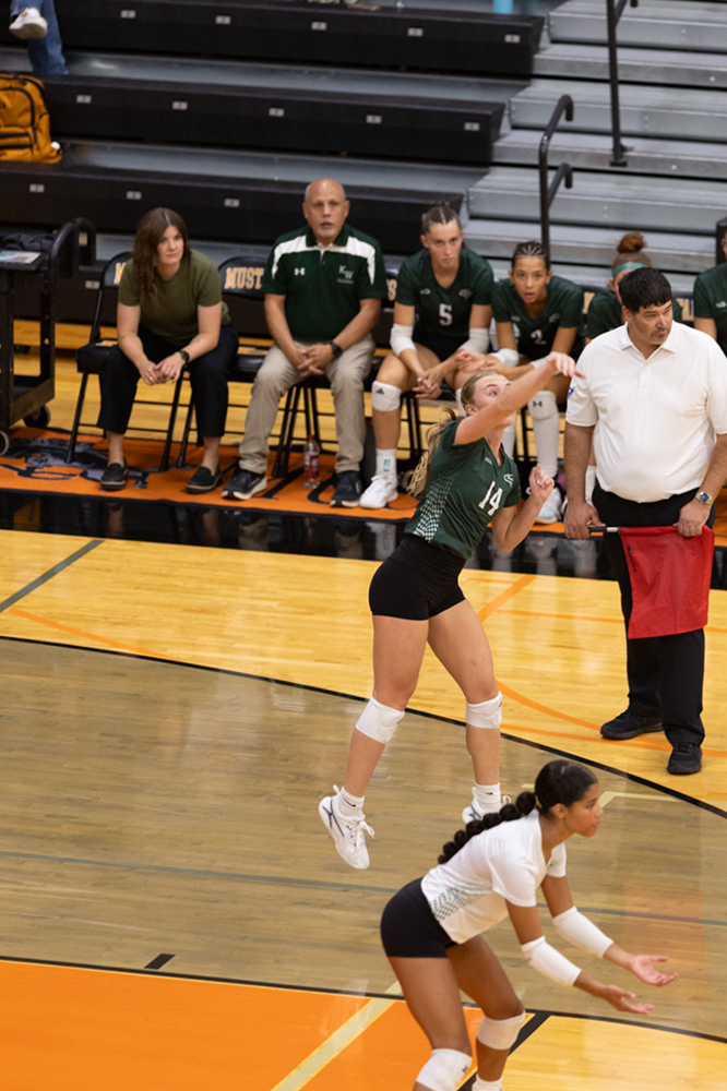 %_tempFileName1M6A7354%