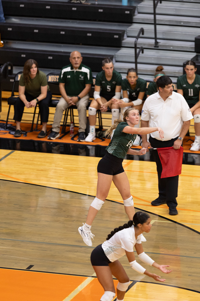 %_tempFileName1M6A7355%