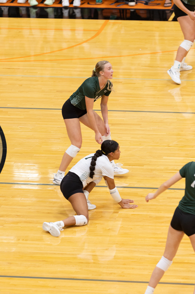 %_tempFileName1M6A7438%