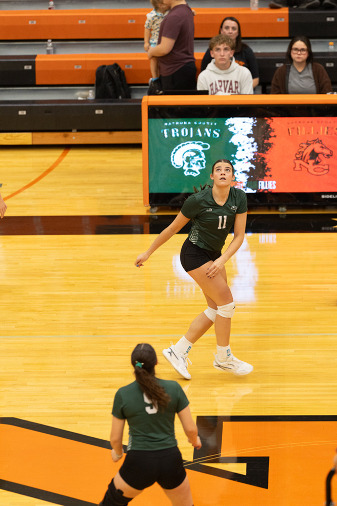 %_tempFileName1M6A7442%