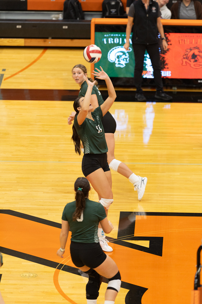 %_tempFileName1M6A7461%