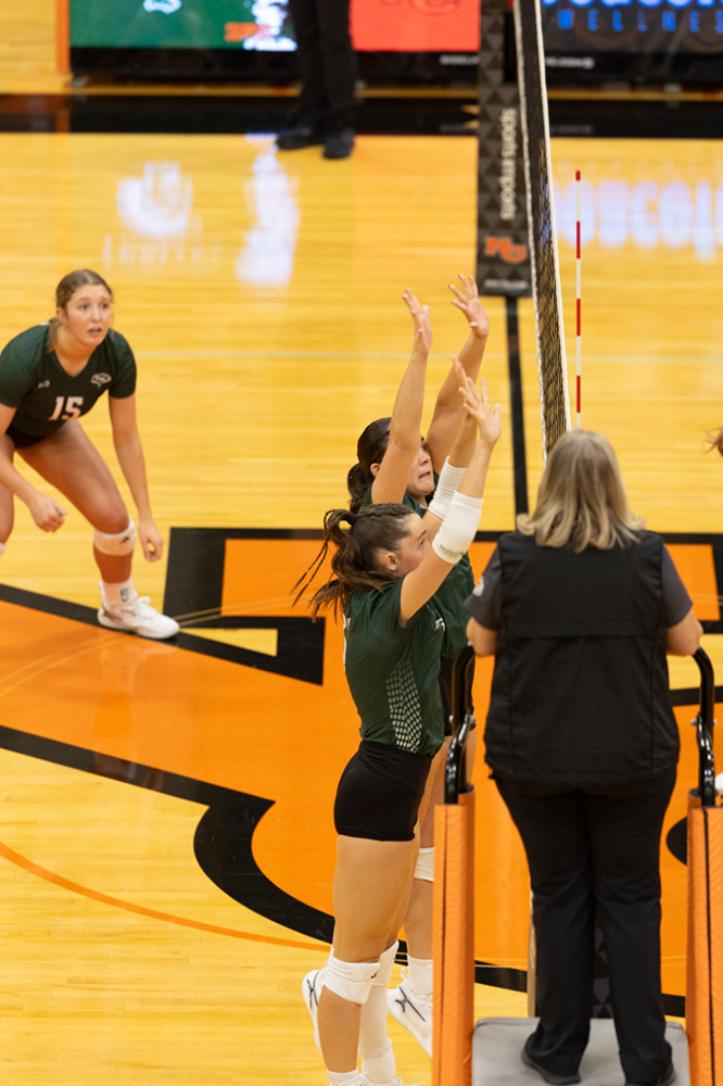 %_tempFileName1M6A7514%