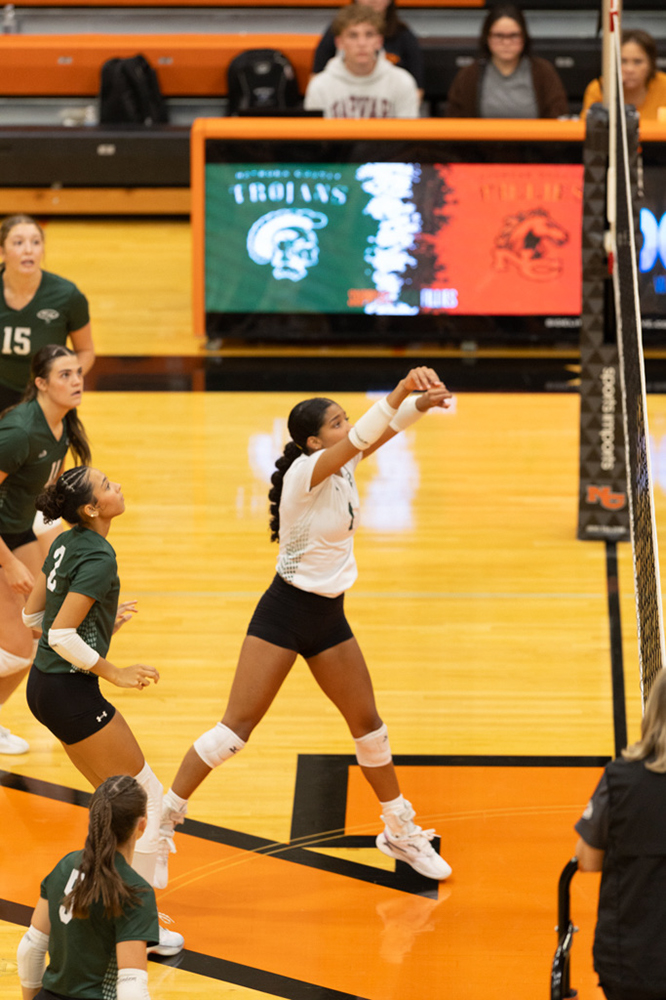 %_tempFileName1M6A7535%