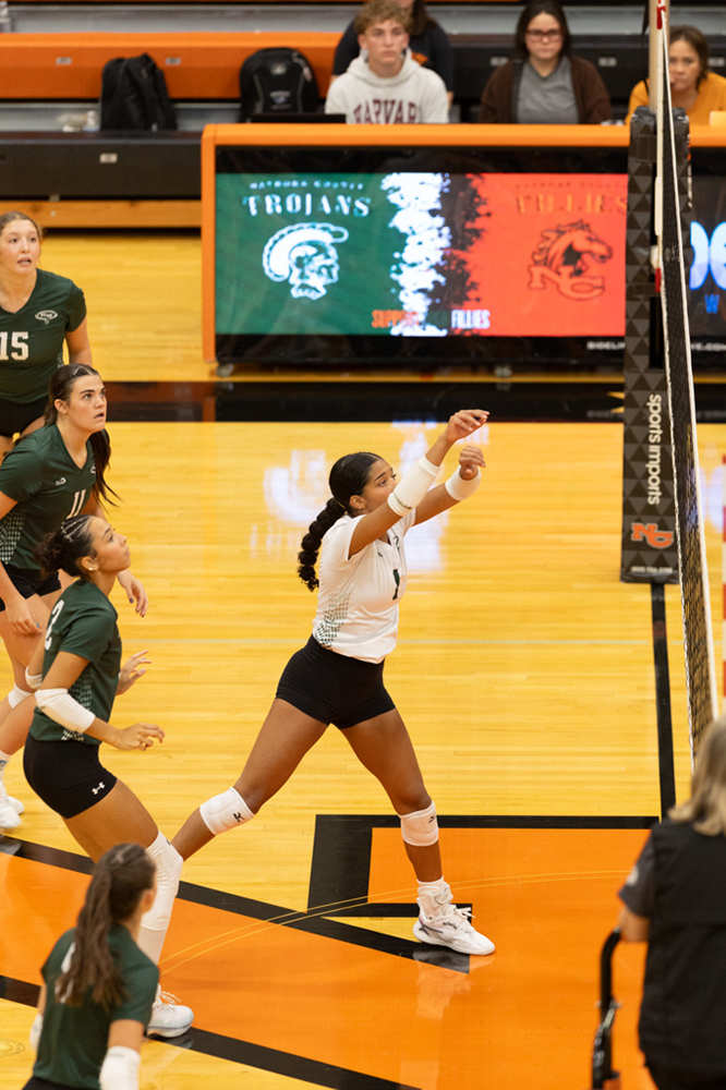 %_tempFileName1M6A7536%