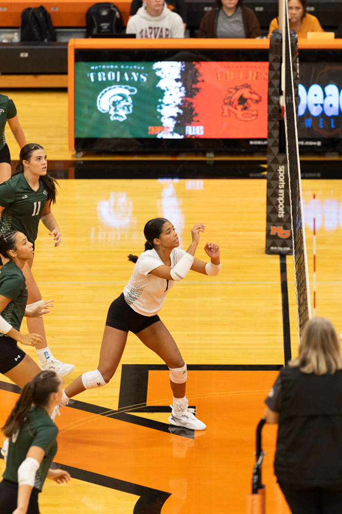 %_tempFileName1M6A7538%