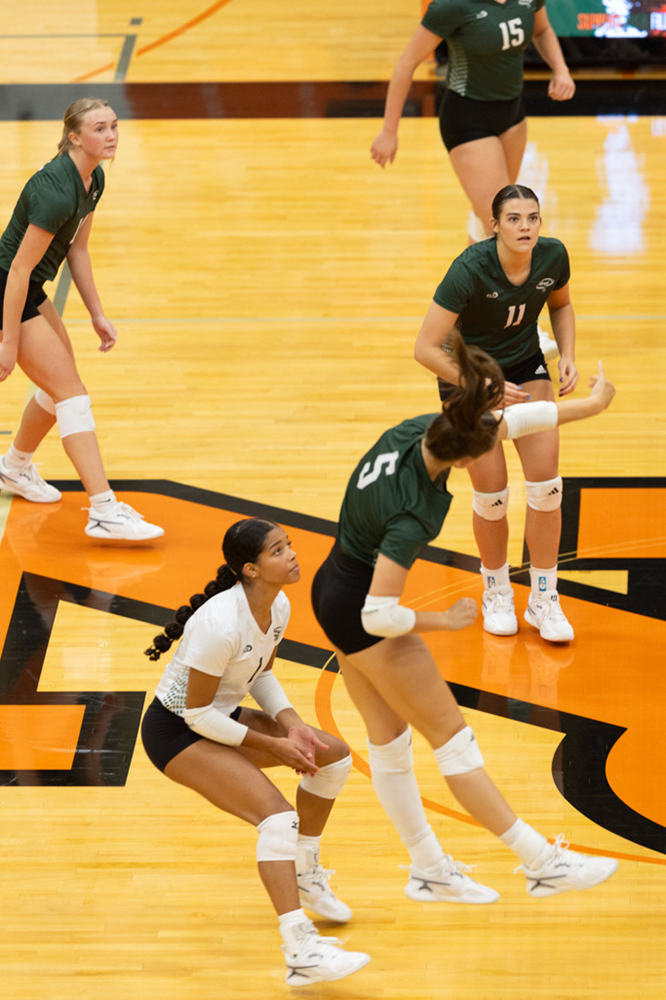 %_tempFileName1M6A7544%