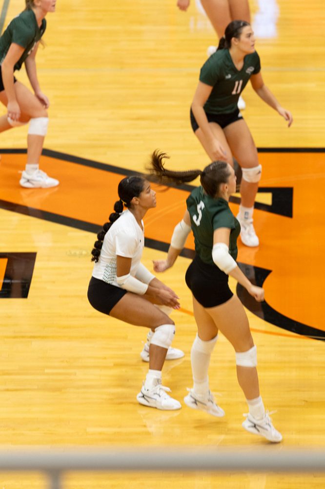 %_tempFileName1M6A7548%