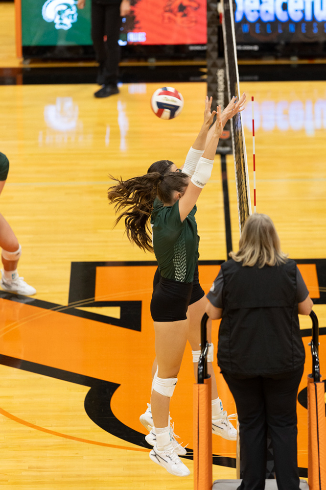 %_tempFileName1M6A7553%