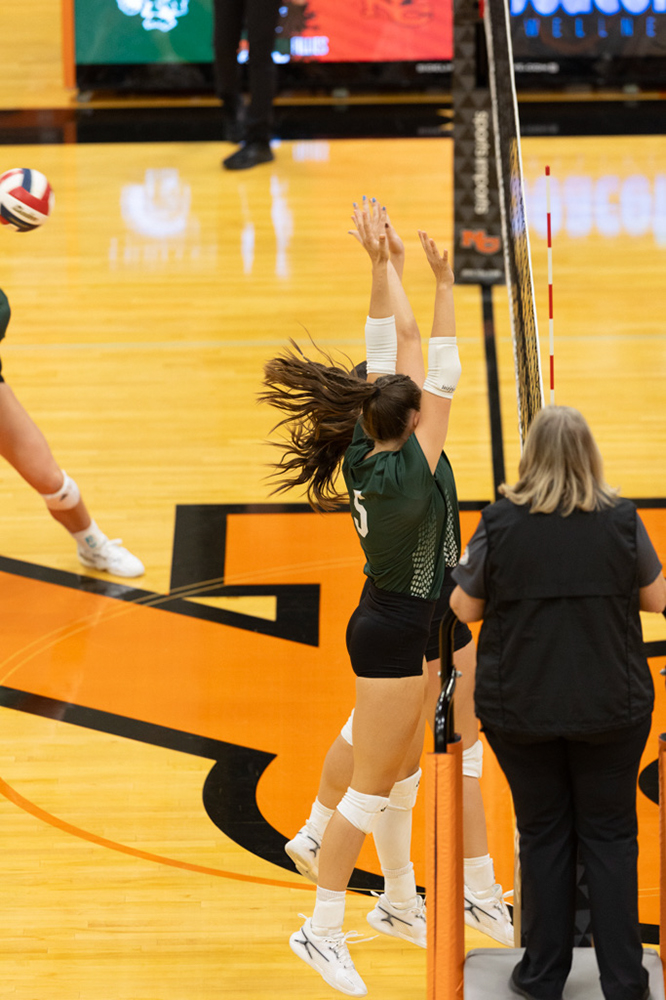 %_tempFileName1M6A7555%