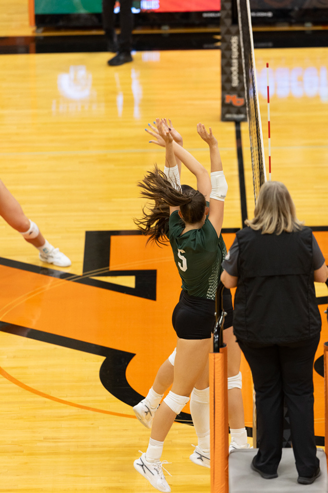 %_tempFileName1M6A7556%