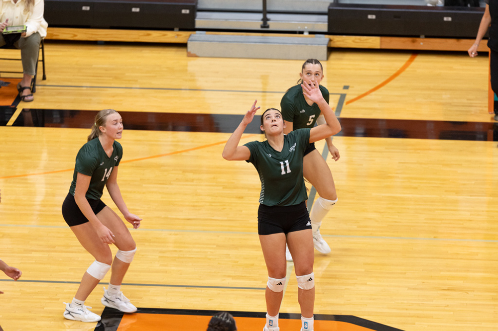 %_tempFileName1M6A7568%