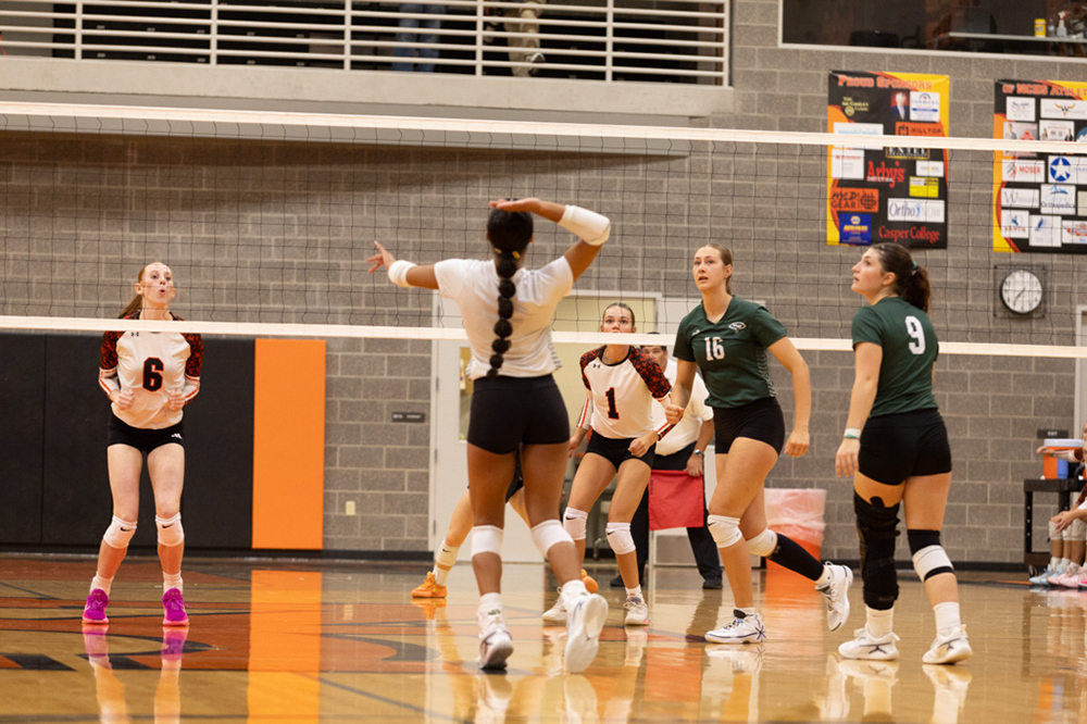 %_tempFileName1M6A7615%