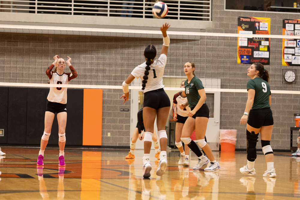 %_tempFileName1M6A7617%