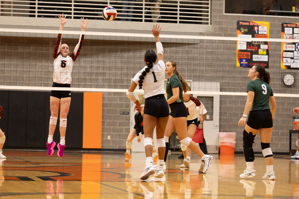 %_tempFileName1M6A7619%