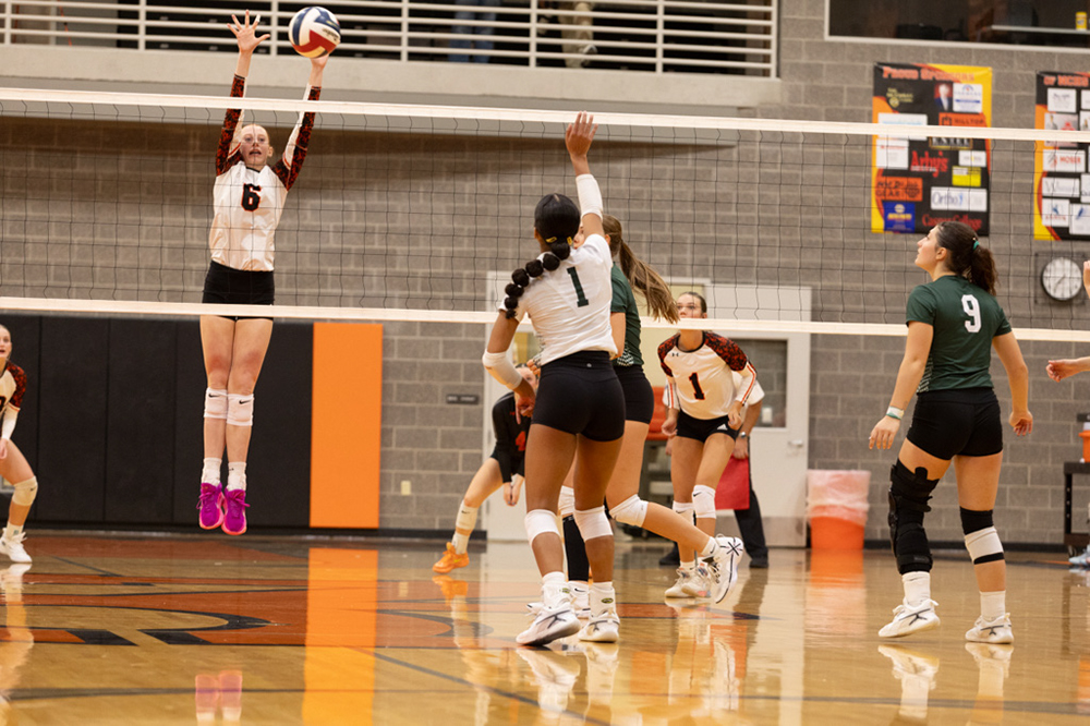 %_tempFileName1M6A7620%