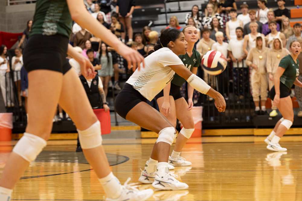 %_tempFileName1M6A7688%