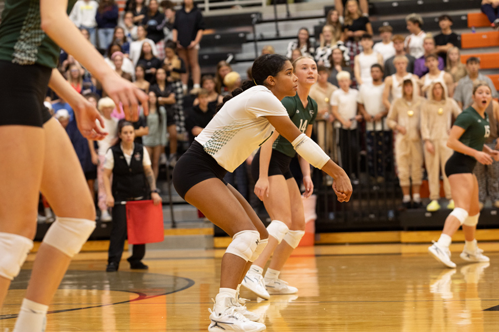 %_tempFileName1M6A7690%