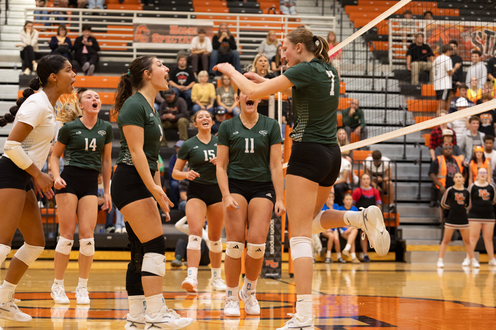 %_tempFileName1M6A7693%