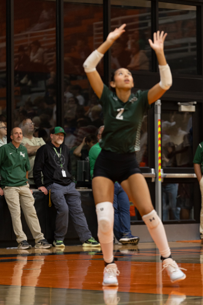 %_tempFileName1M6A7724%