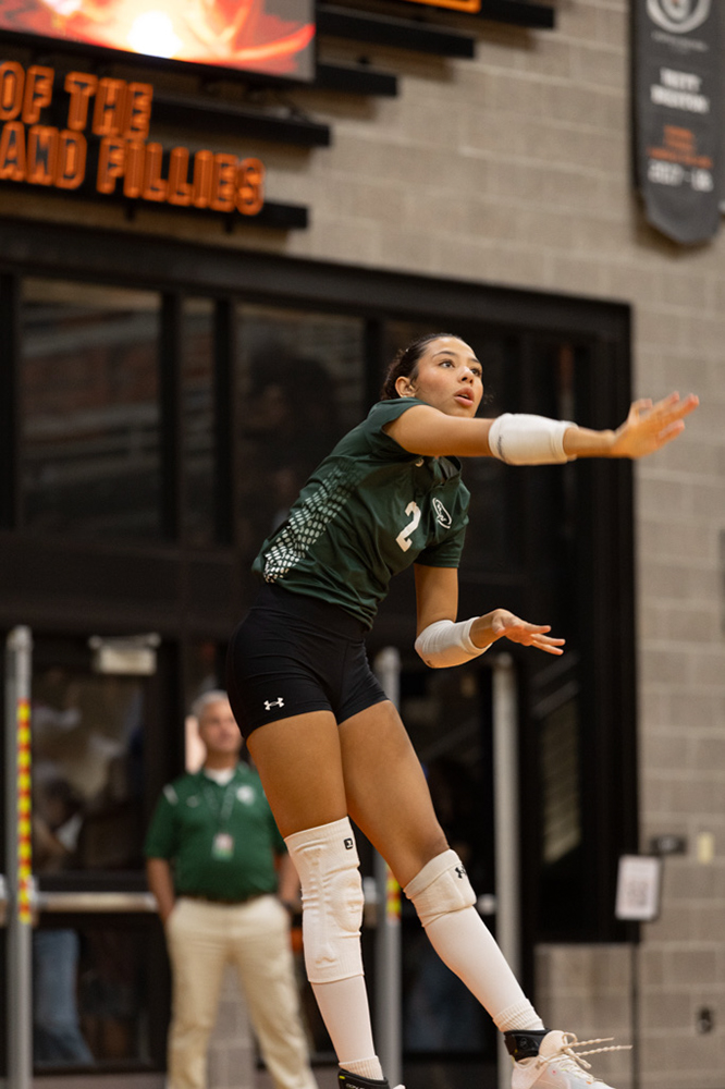 %_tempFileName1M6A7733%