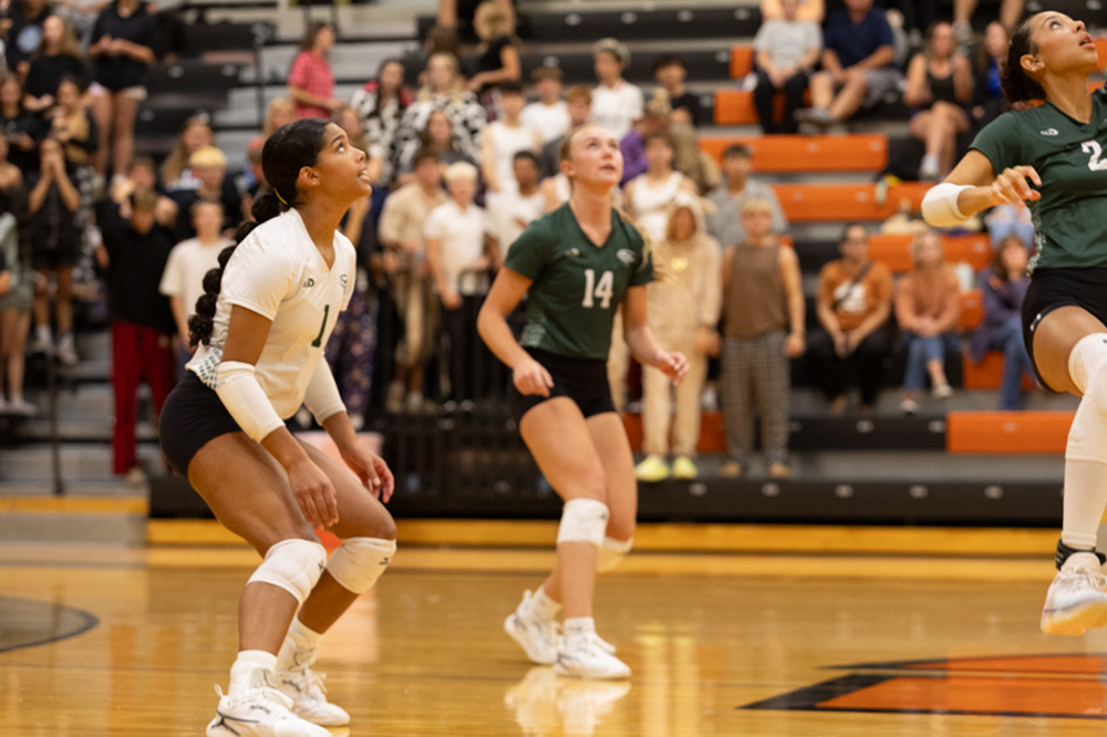 %_tempFileName1M6A7734%