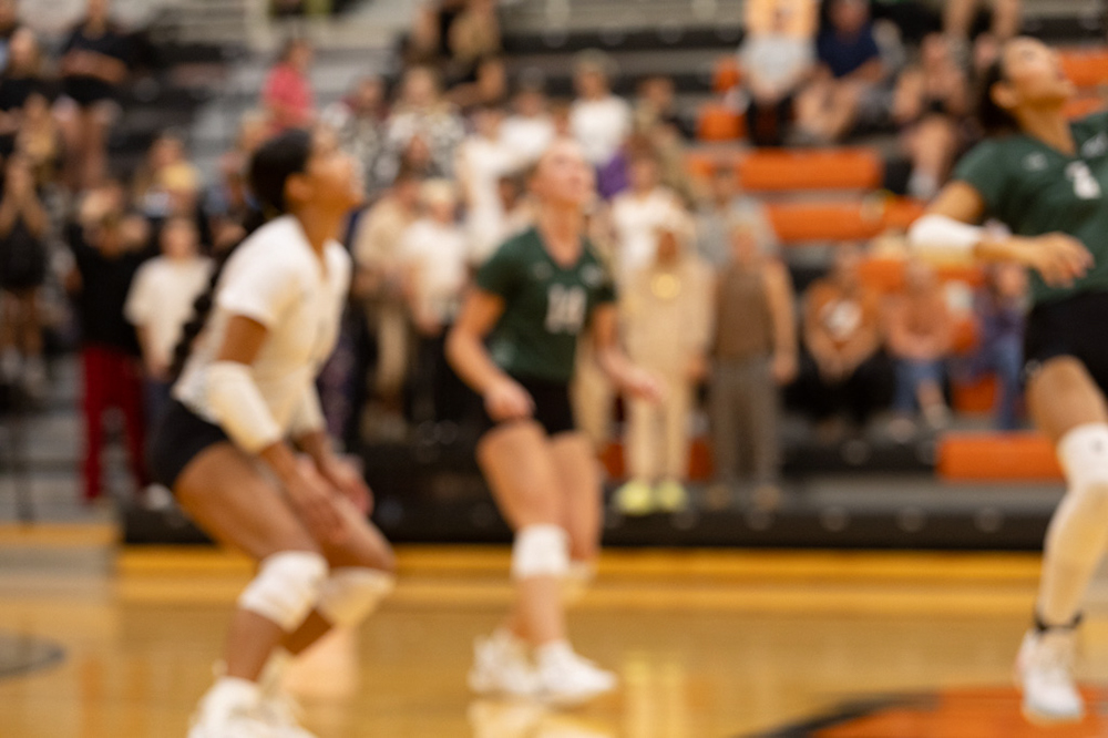 %_tempFileName1M6A7735%