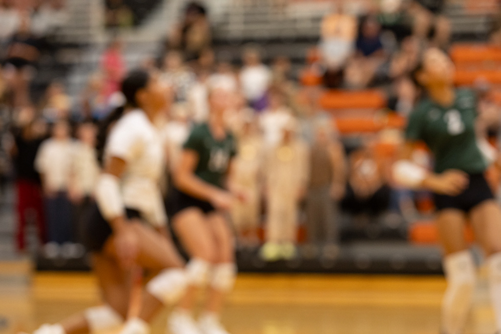 %_tempFileName1M6A7738%