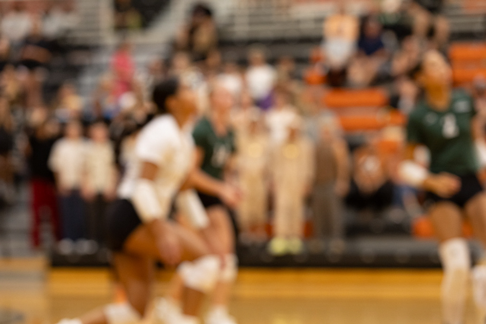 %_tempFileName1M6A7739%