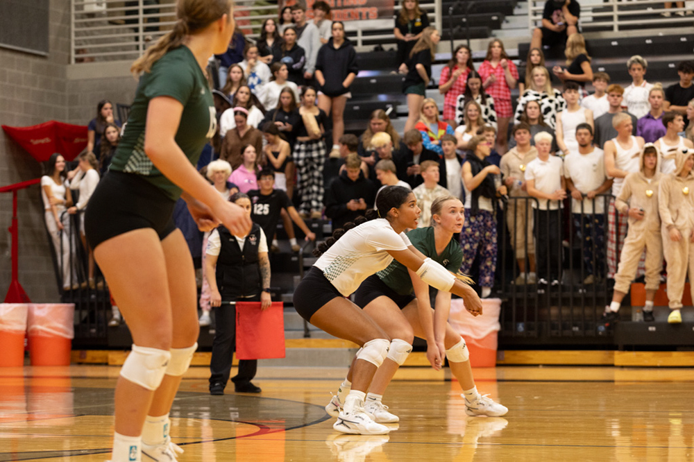 %_tempFileName1M6A7779%