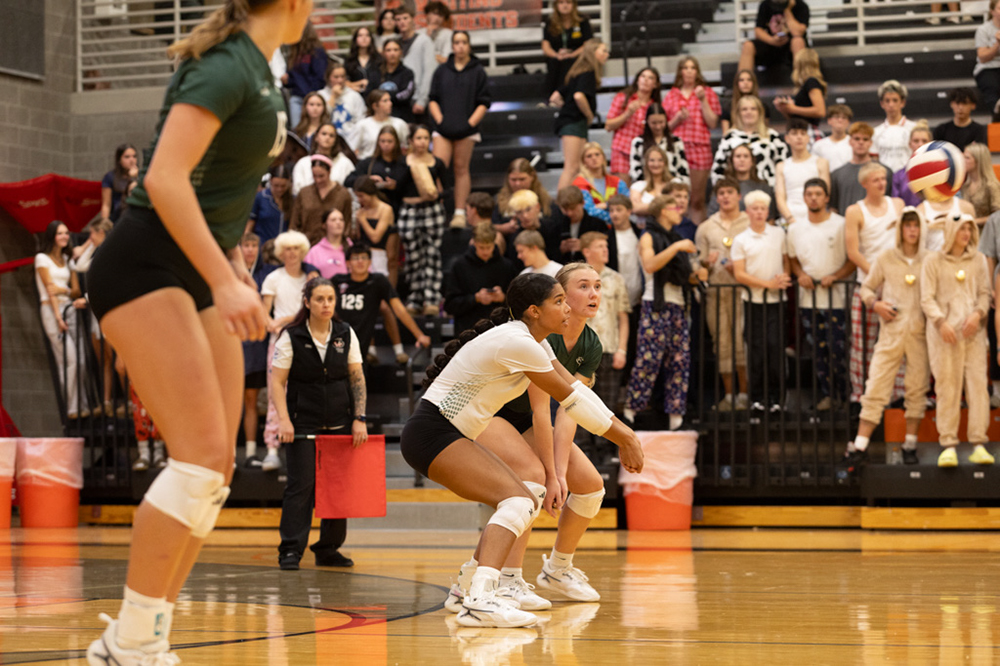 %_tempFileName1M6A7781%