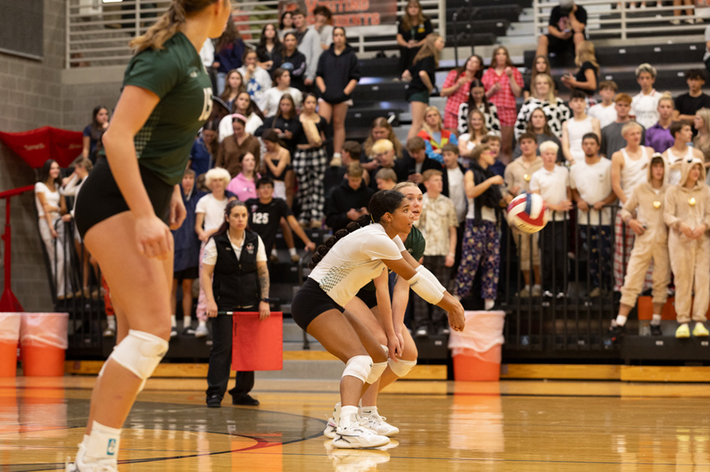 %_tempFileName1M6A7782%