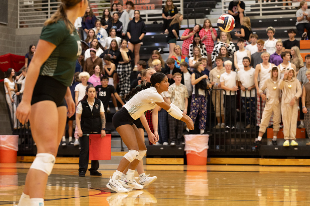 %_tempFileName1M6A7785%