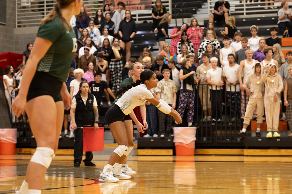 %_tempFileName1M6A7786%