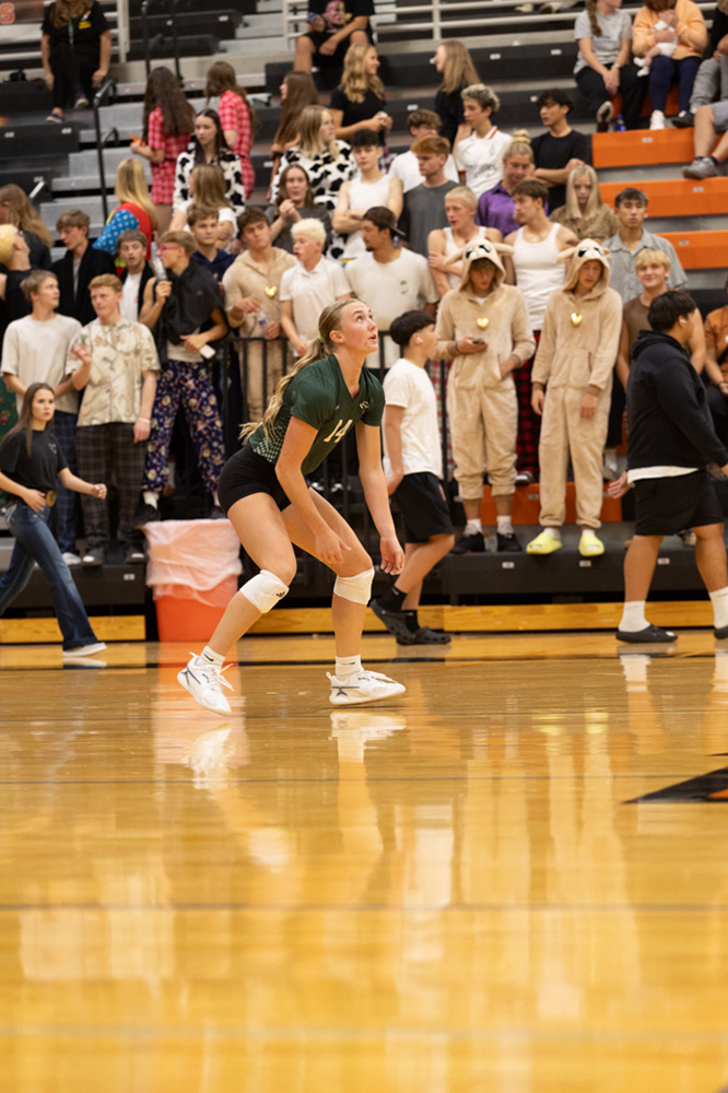 %_tempFileName1M6A7796%