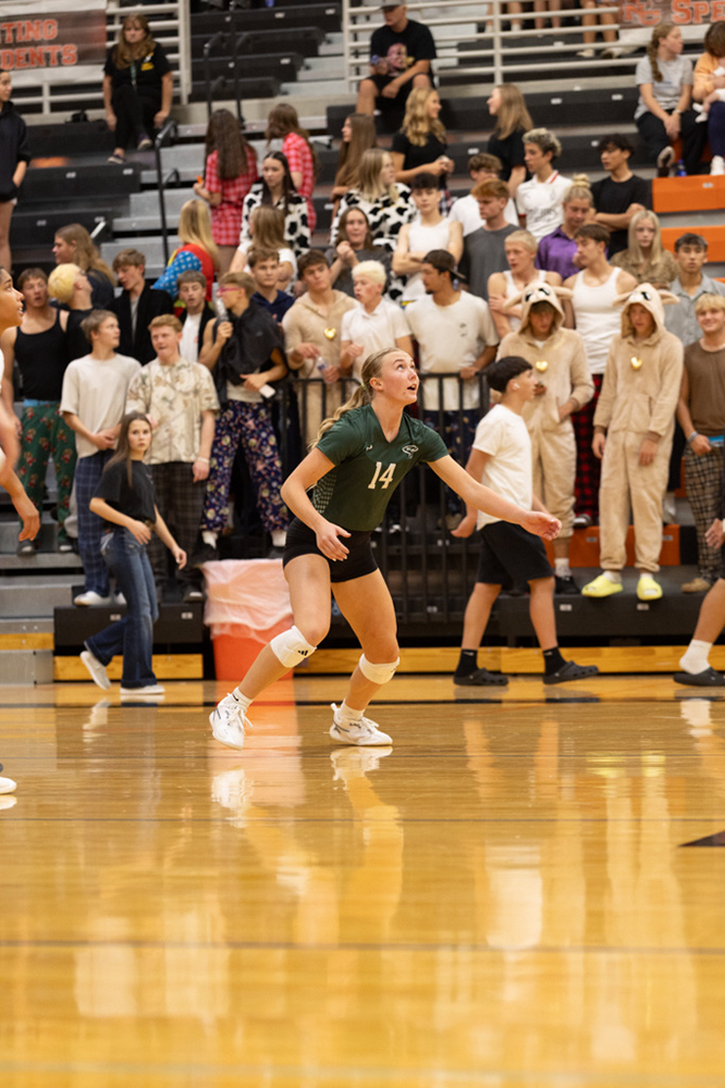 %_tempFileName1M6A7798%