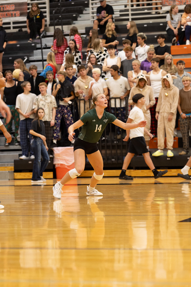 %_tempFileName1M6A7799%