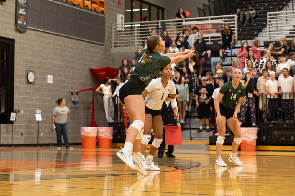 %_tempFileName1M6A7810%