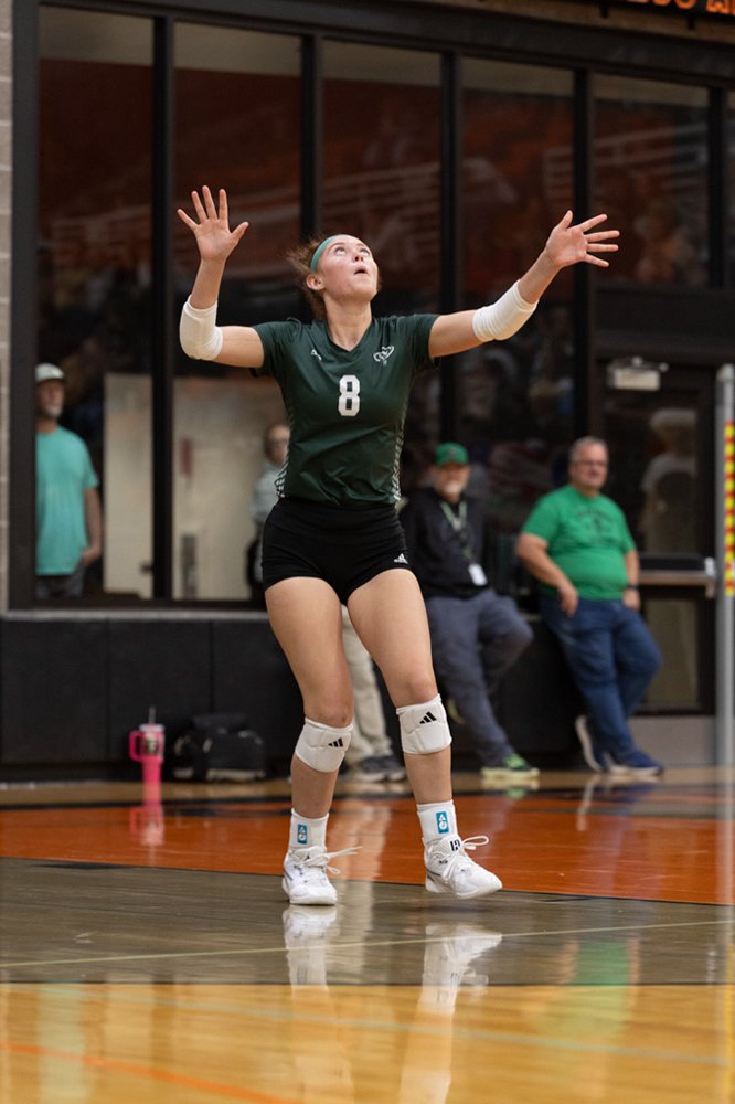 %_tempFileName1M6A7842%