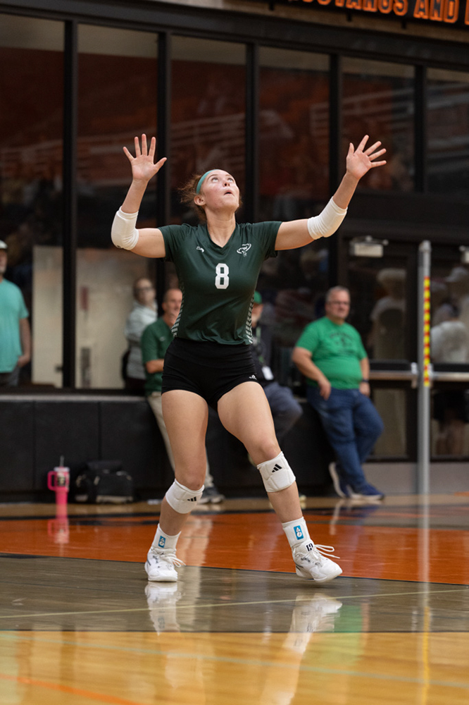 %_tempFileName1M6A7843%