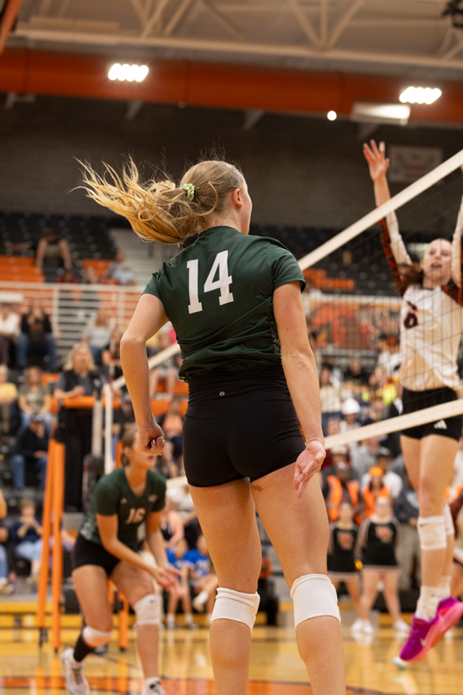 %_tempFileName1M6A7994%