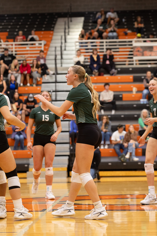 %_tempFileName1M6A8003%