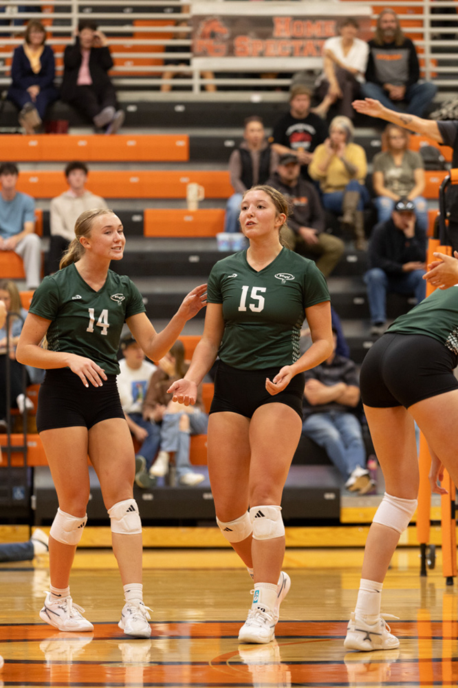 %_tempFileName1M6A8017%