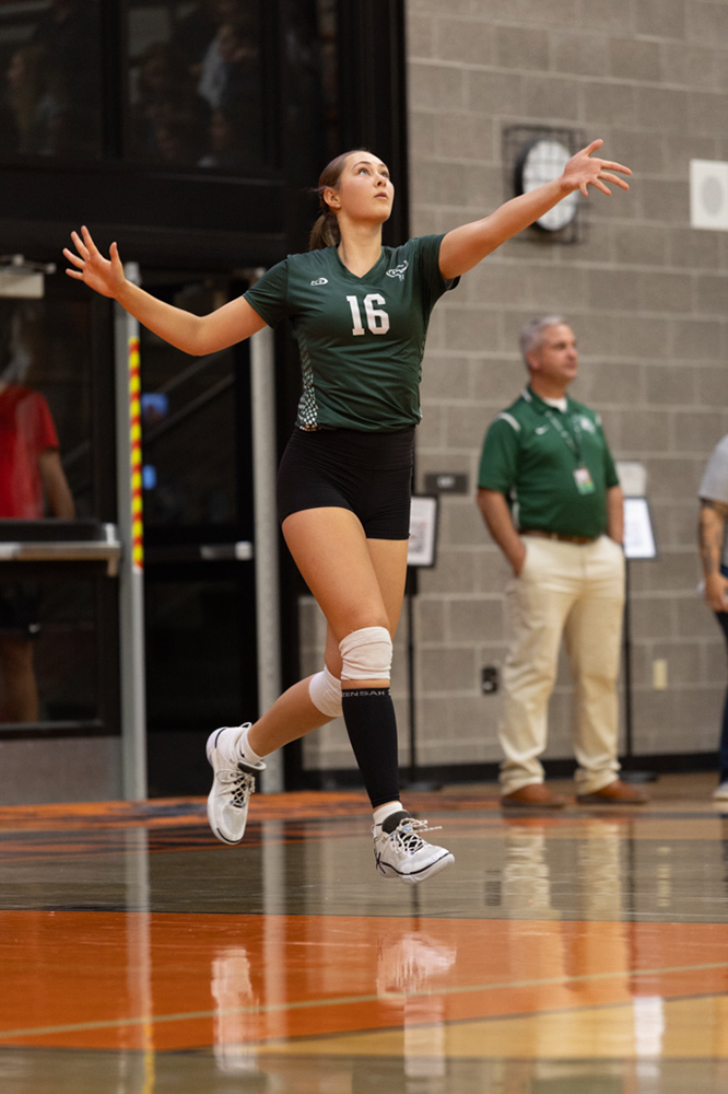 %_tempFileName1M6A8031%