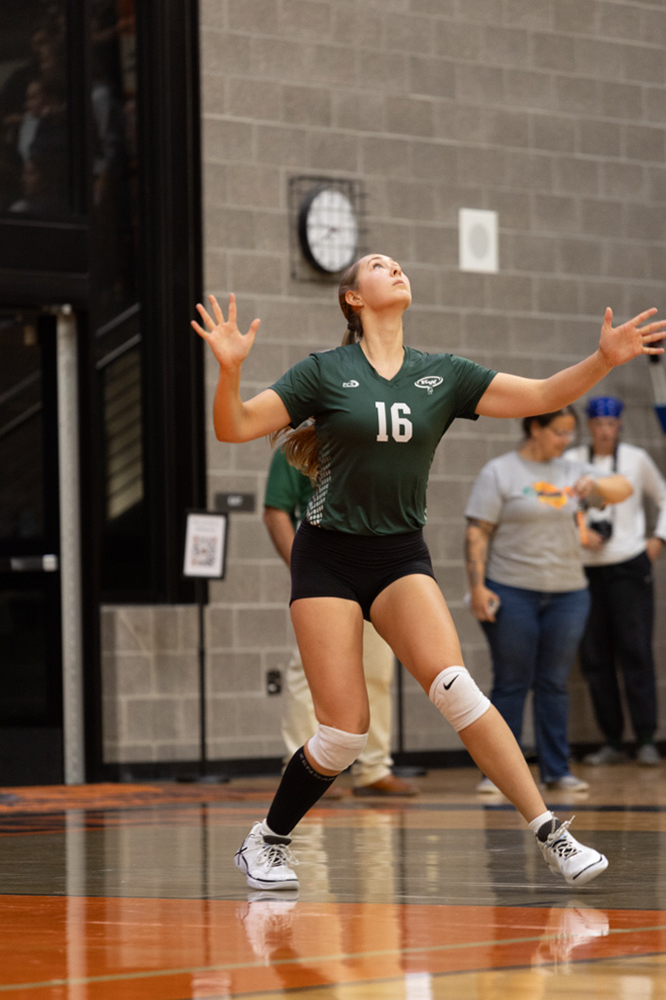 %_tempFileName1M6A8035%