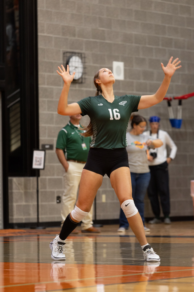 %_tempFileName1M6A8036%