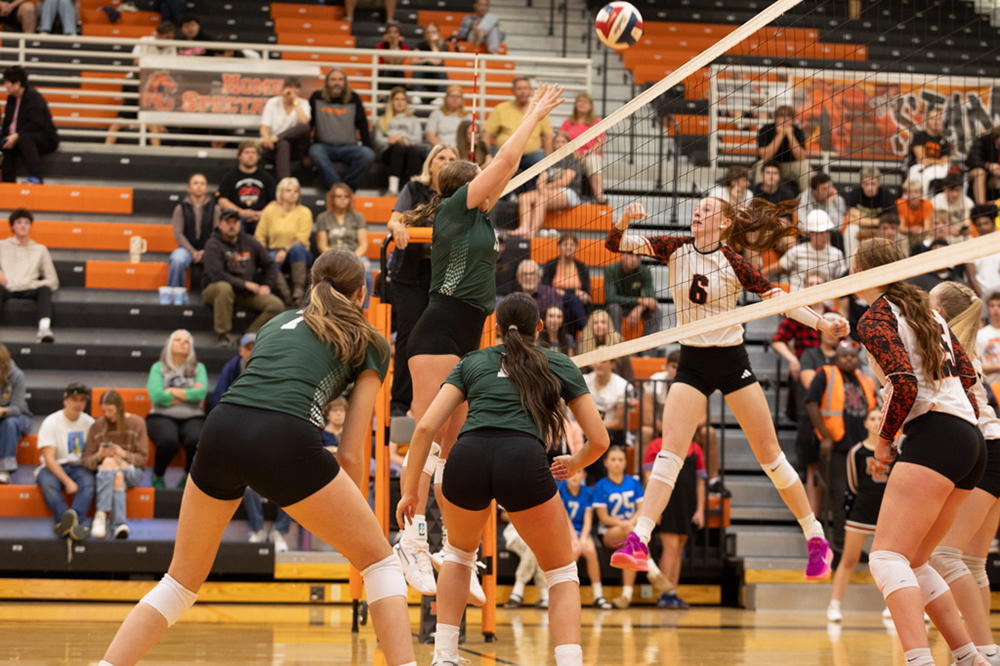 %_tempFileName1M6A8079%