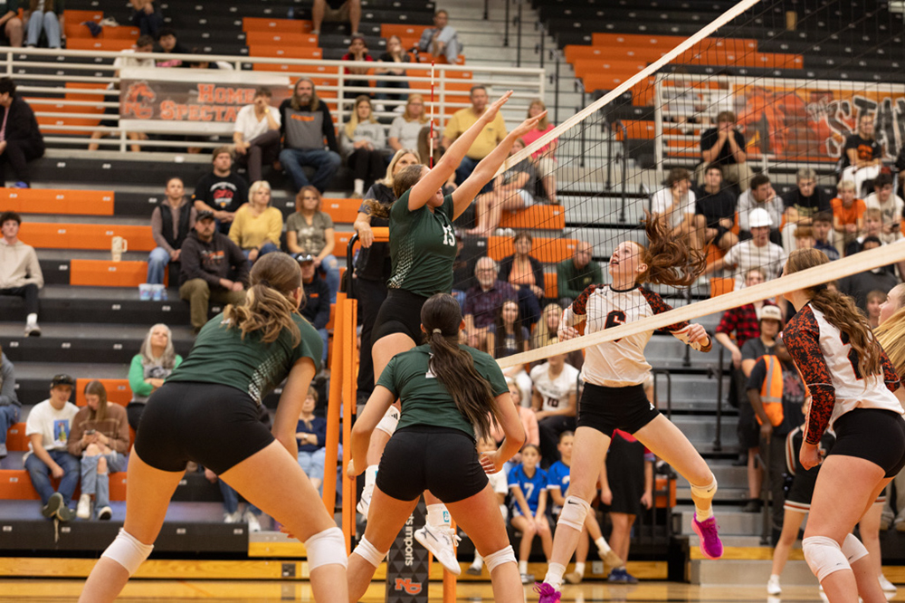 %_tempFileName1M6A8081%