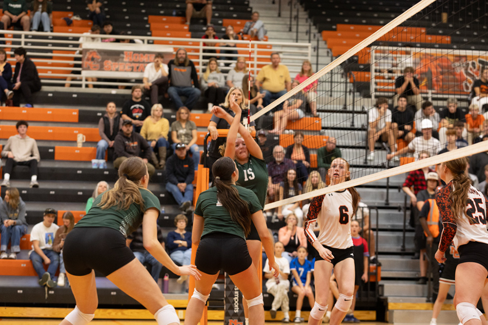 %_tempFileName1M6A8084%